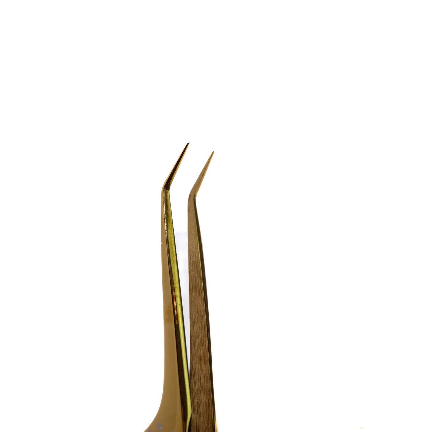 Pinza 40K – Money Edition | Abruxlashes